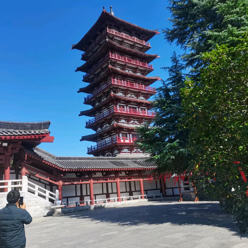 王哥.
