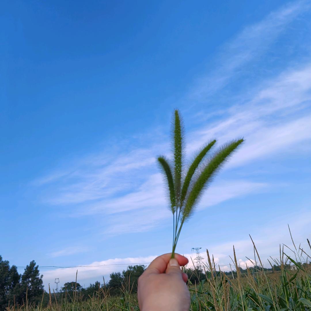 倩倩
