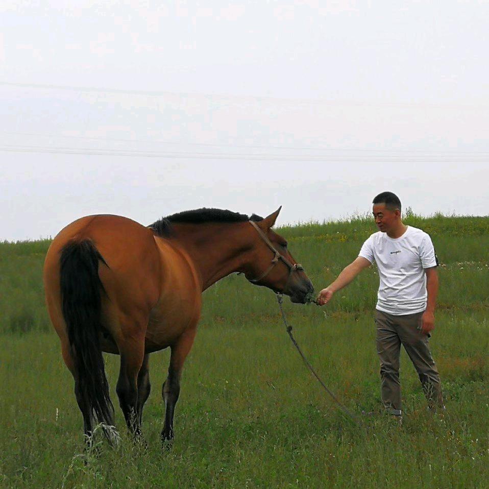 绳与泳