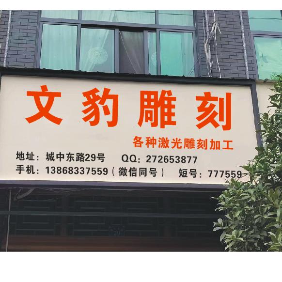 豹