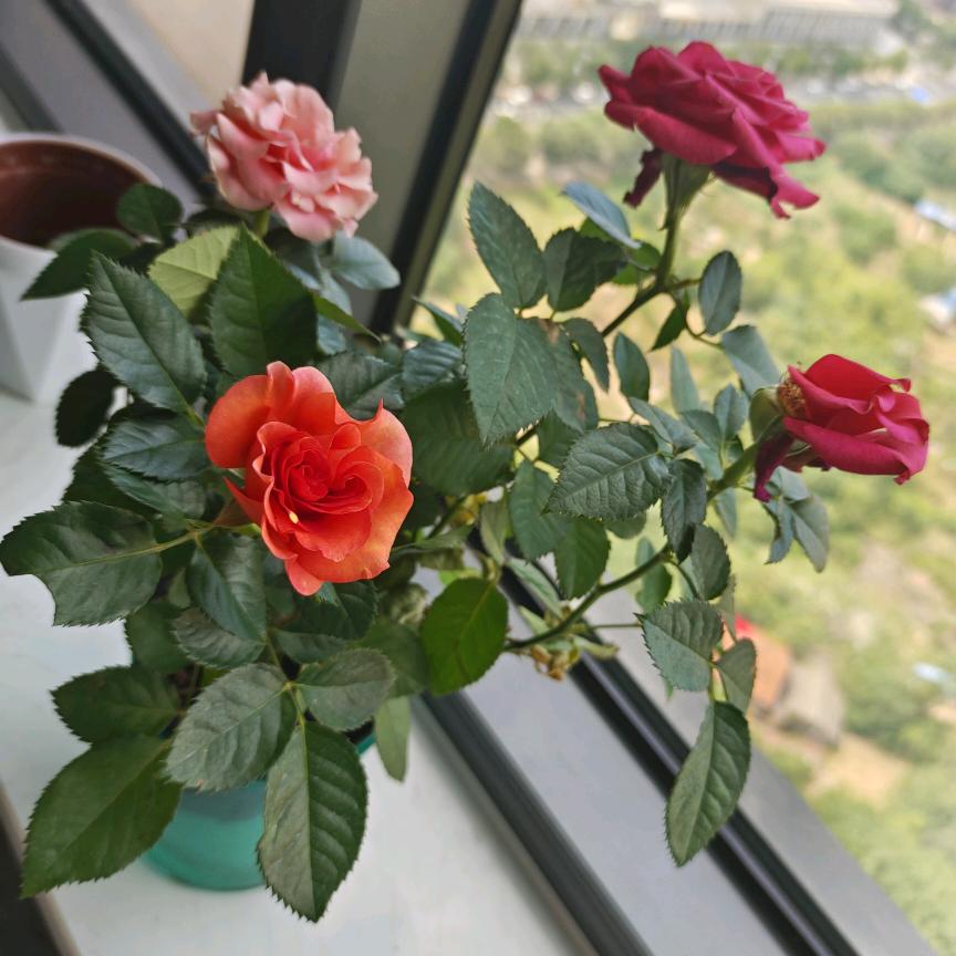 你的笑温暖我每一秒！