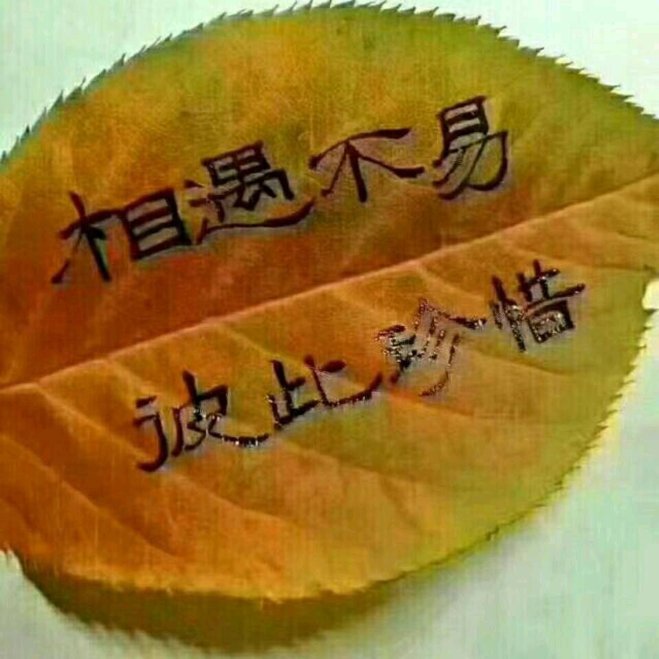 阳哥哥