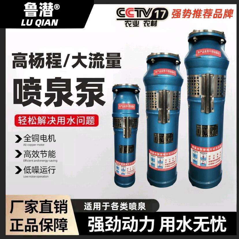 山东鲁潜泵业