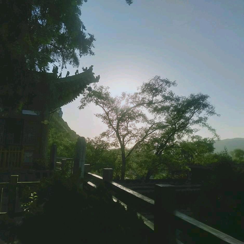 人  间  荒  糖