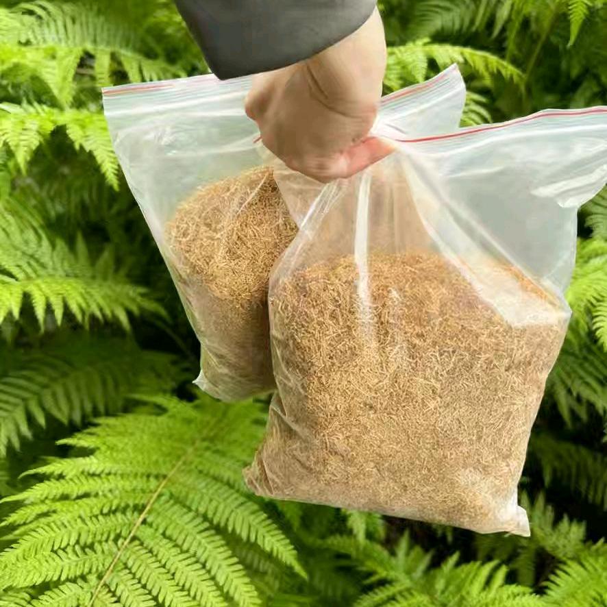 云南口粮的杨哥