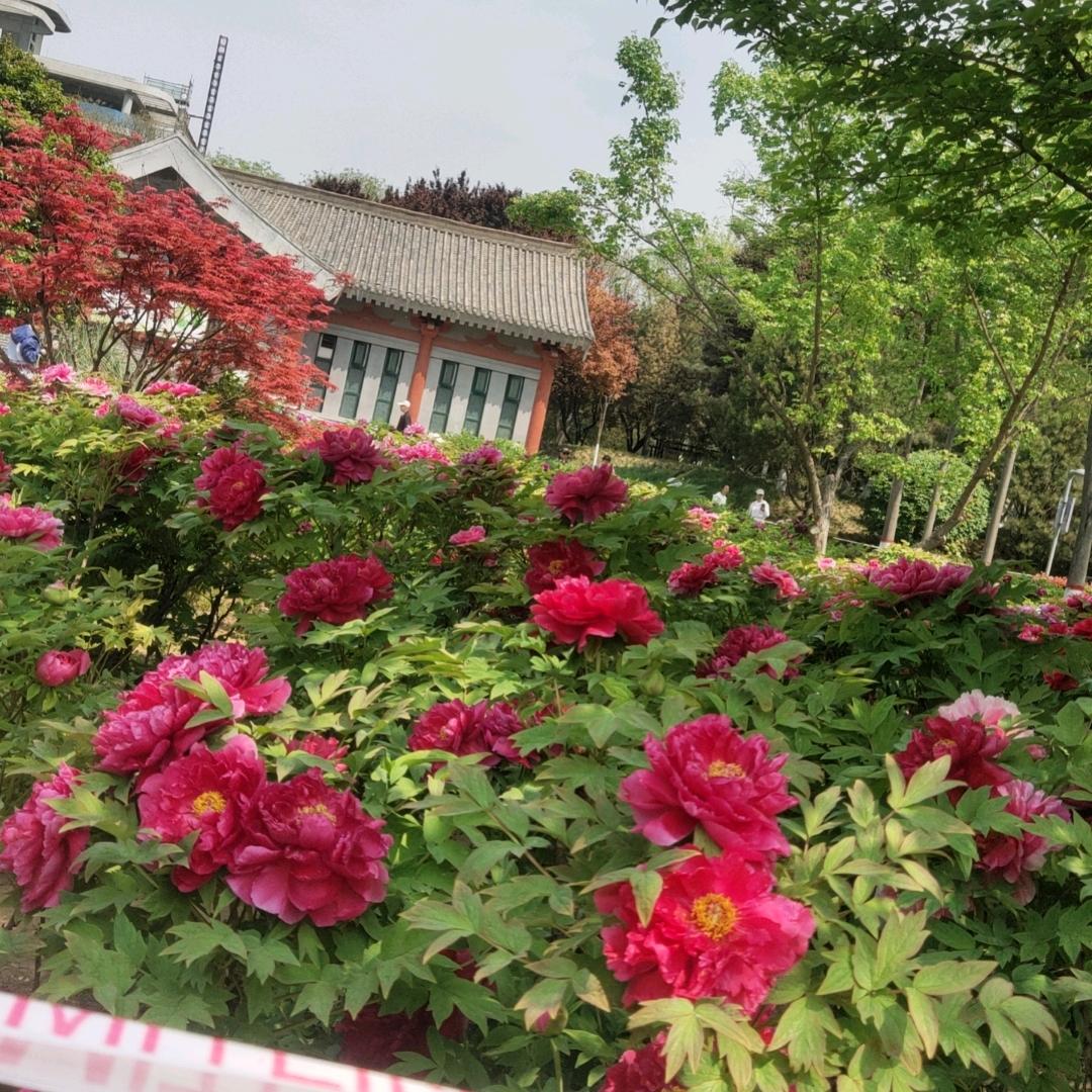 不争则无忧。
