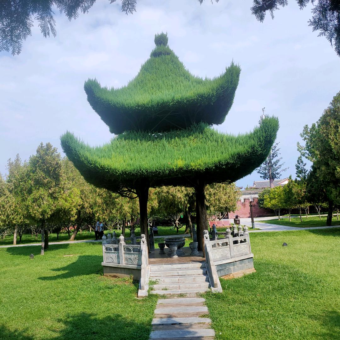 幸福小生活🌴