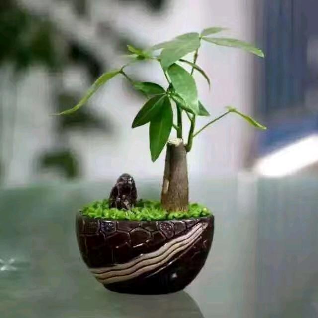 温馨🍀