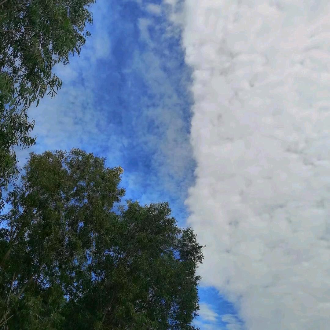 做农资的拔刀客