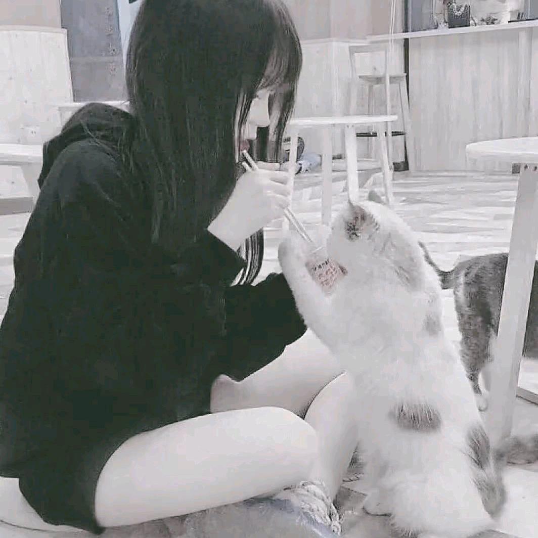 青年主人