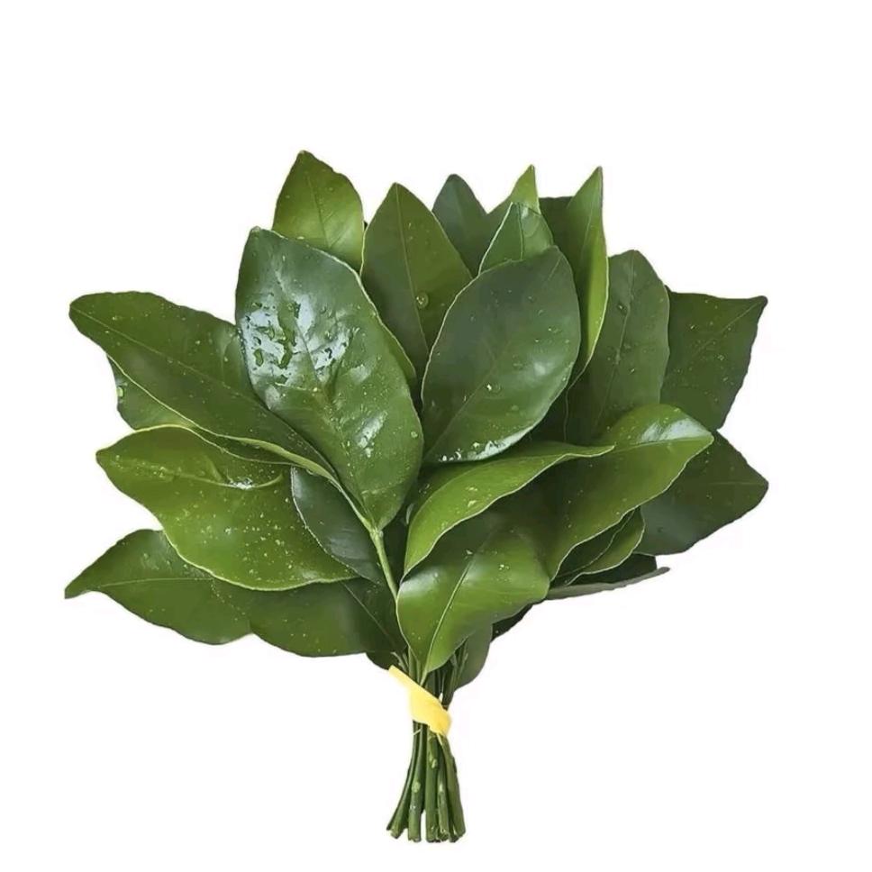 白江江