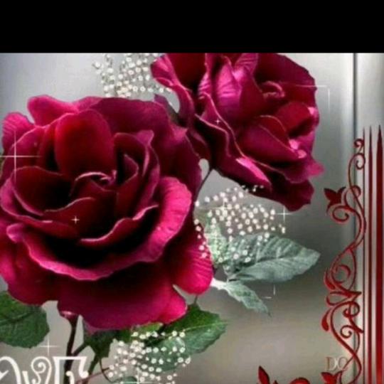 飞利鲜果供应链