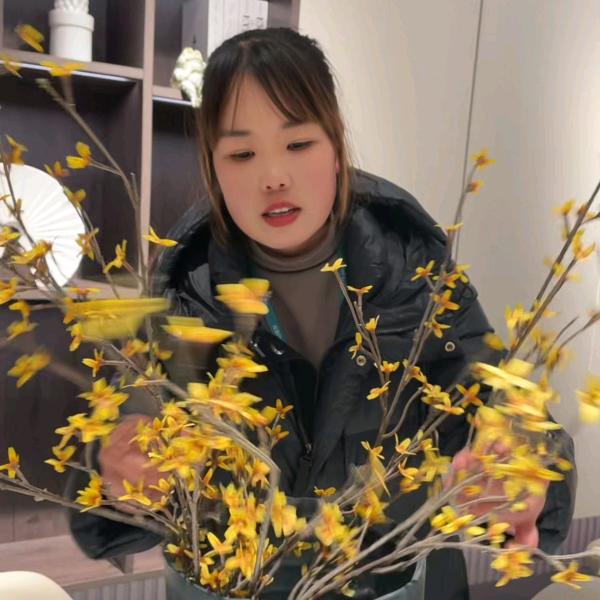 宝丰做整装的.楠楠