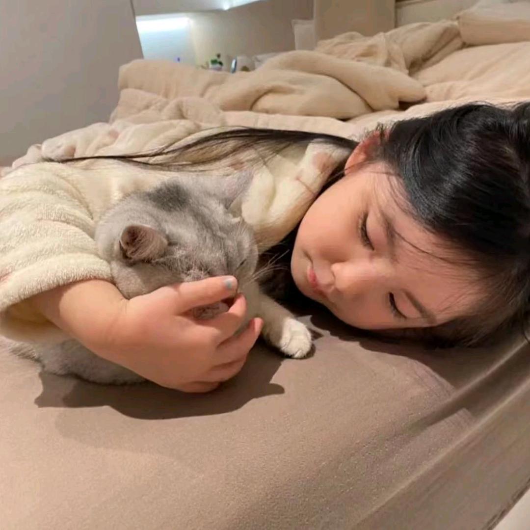 小猫孤岛