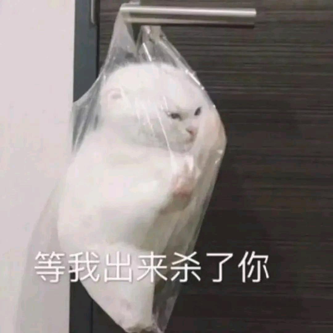张棋妙🎥