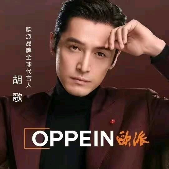 宝丰县欧派大家居王飘利利