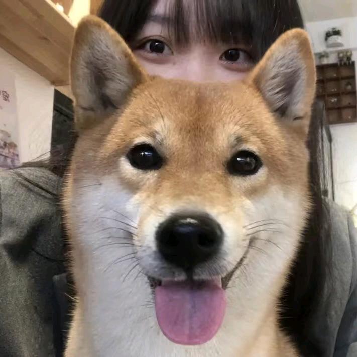 瞌睡小徐