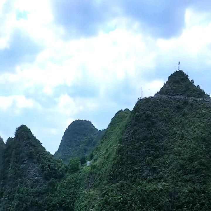自由人生
