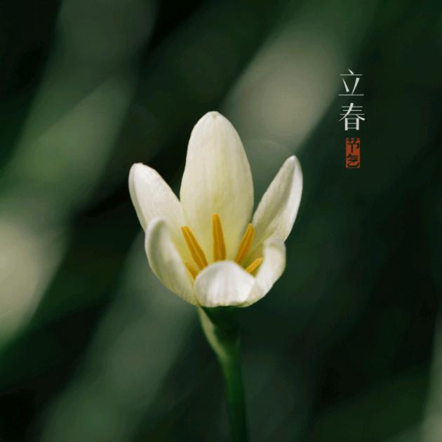 布衣中年