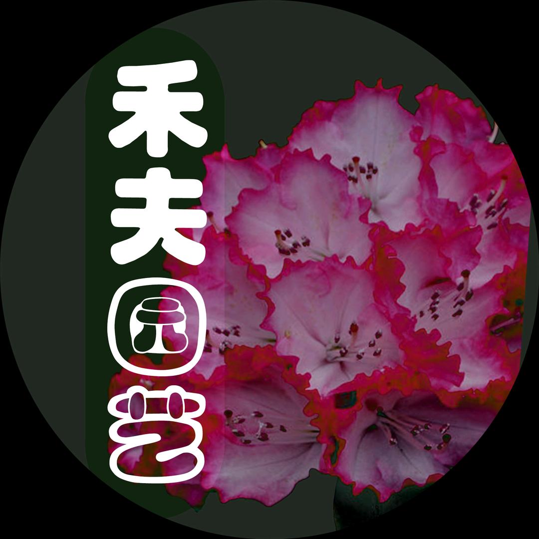 禾夫花园
