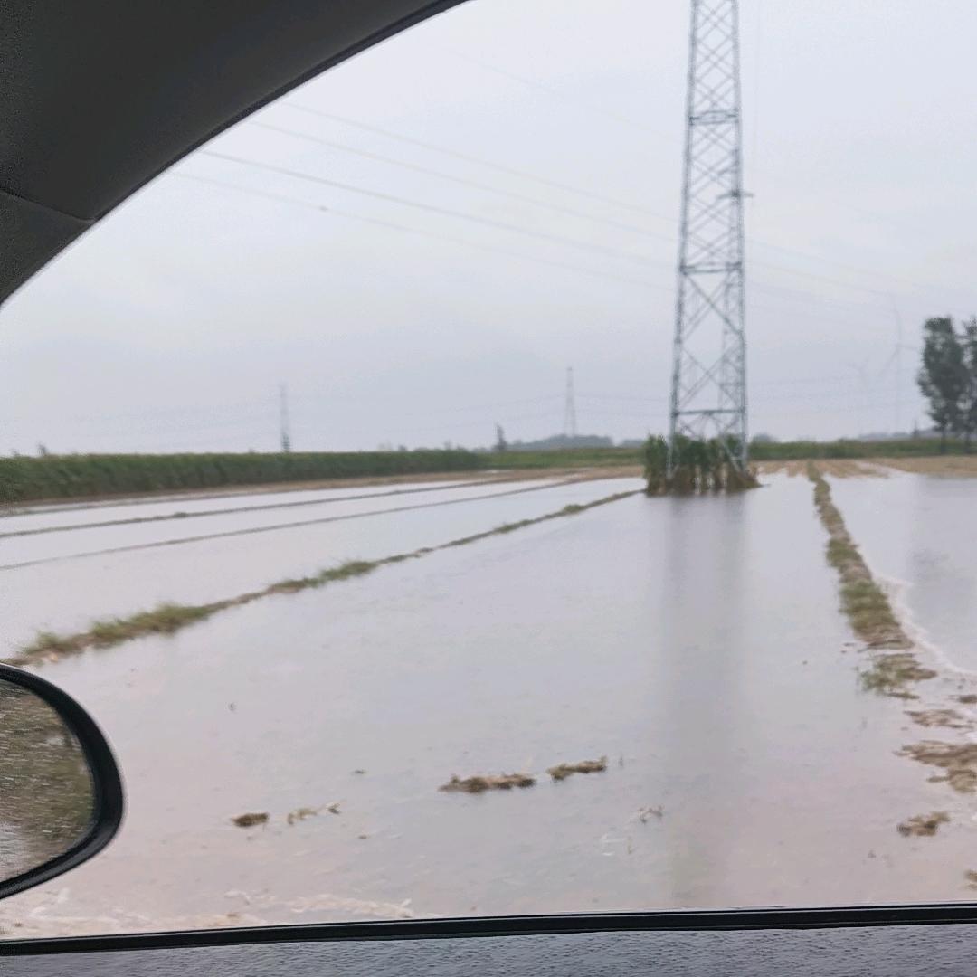 武城《开心》阿杜