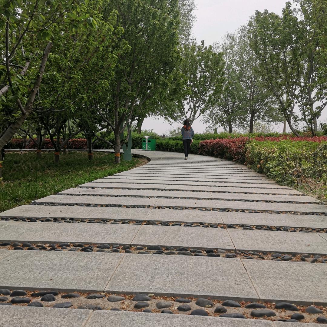 🌻向阳而生🌻