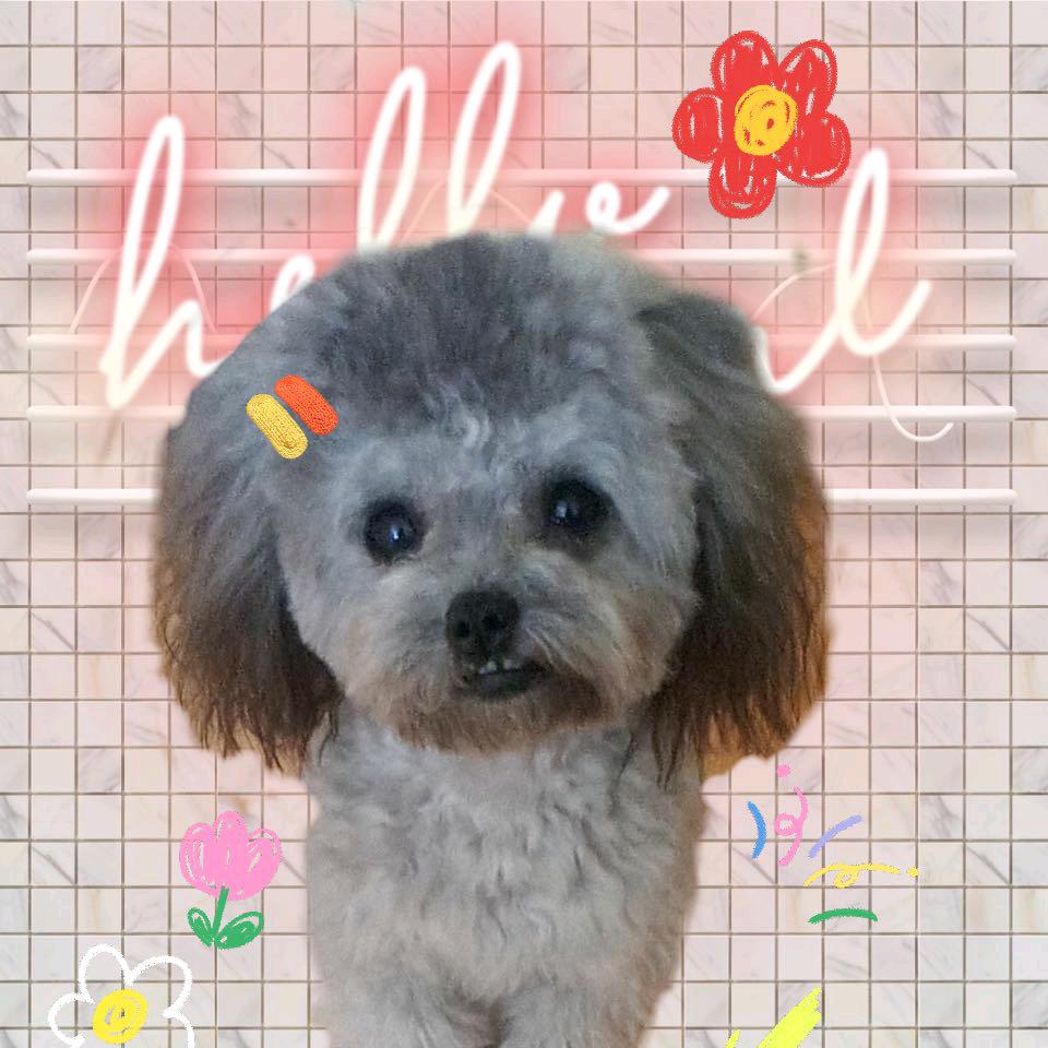 杨咩咩～