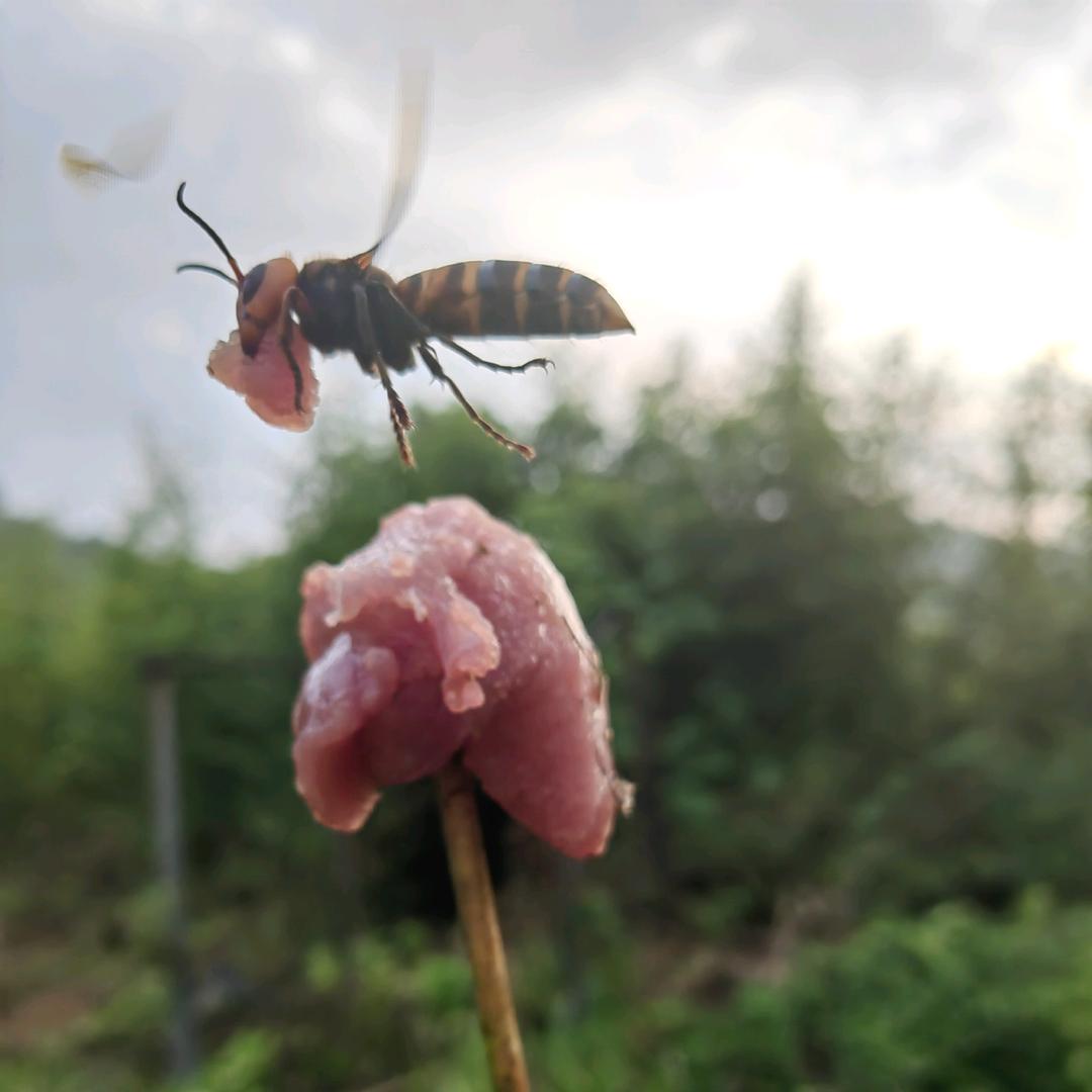 随心