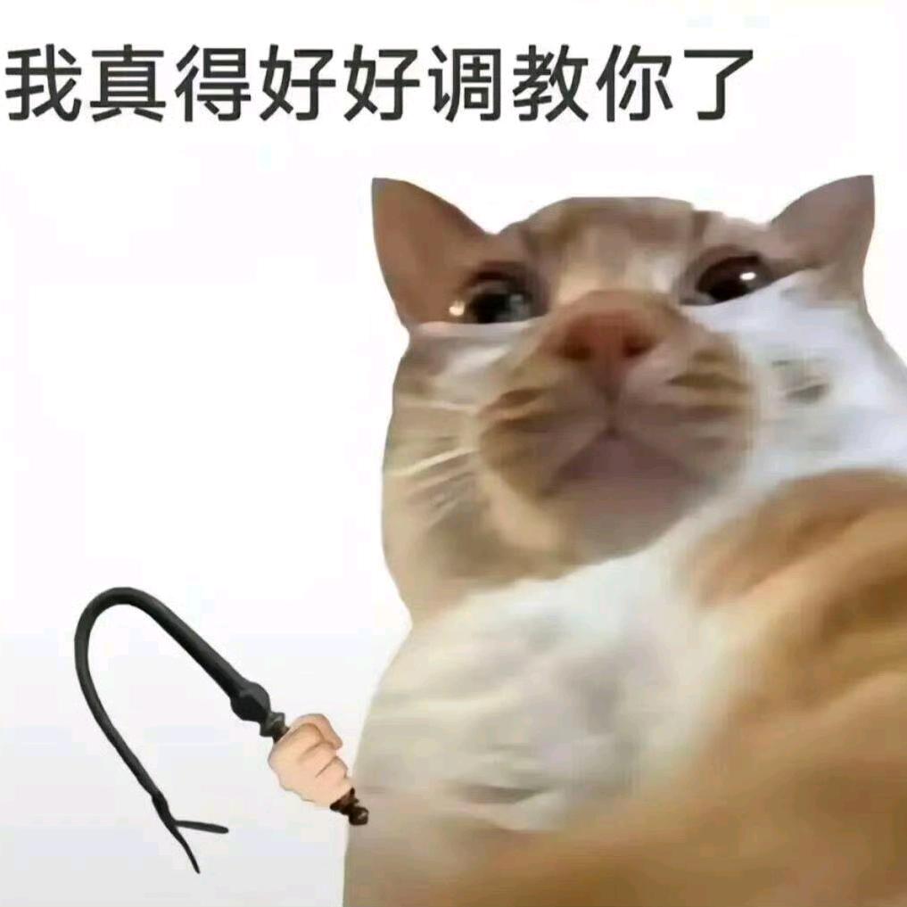 爱吃蔬菜汁的雪朵儿头像
