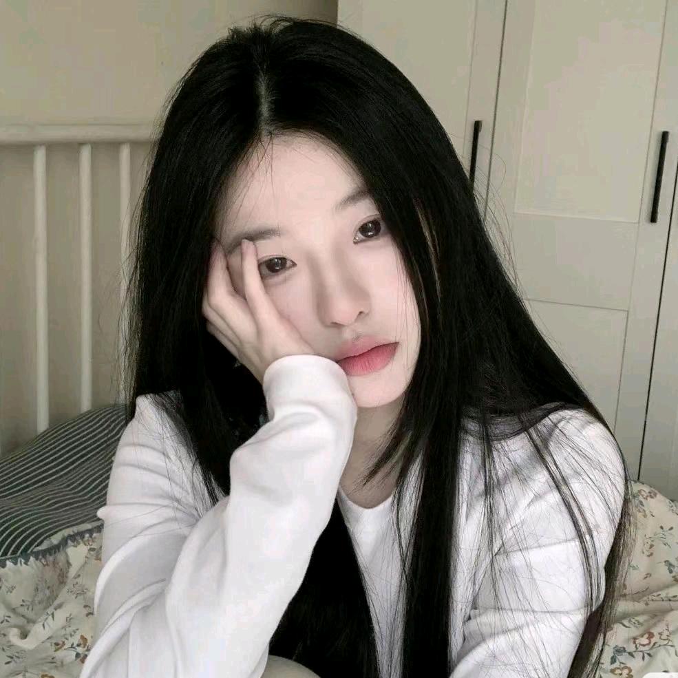 博美比熊-景月德