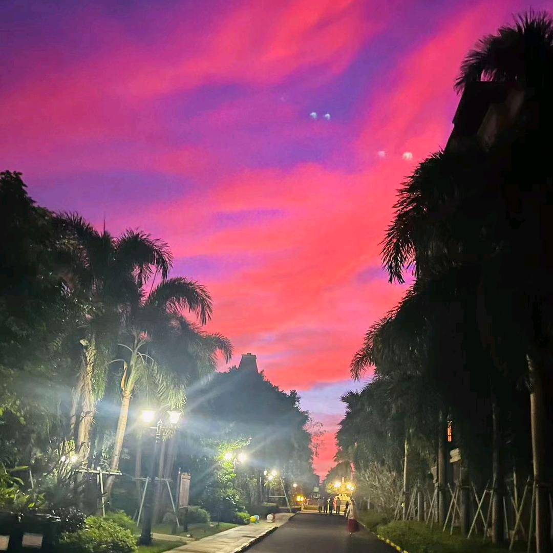 小咸鱼的梦想
