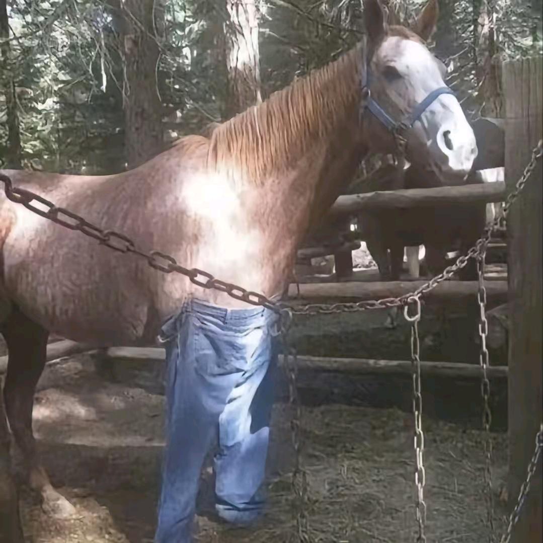 BBzzz
