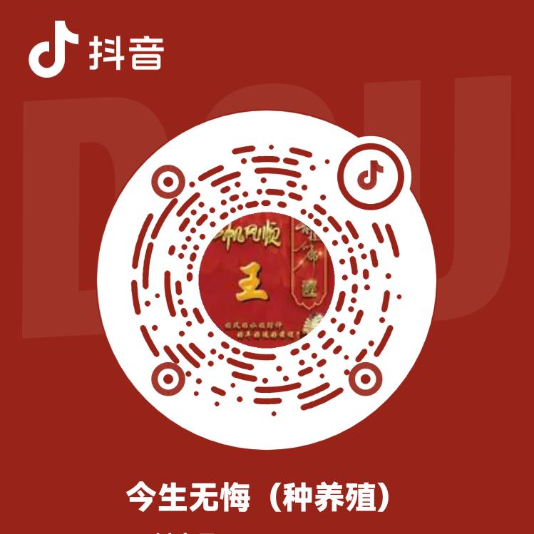 今生无悔