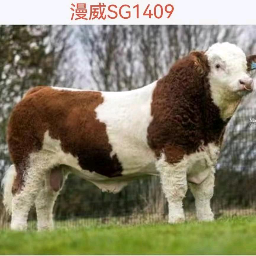 在风雨中等你