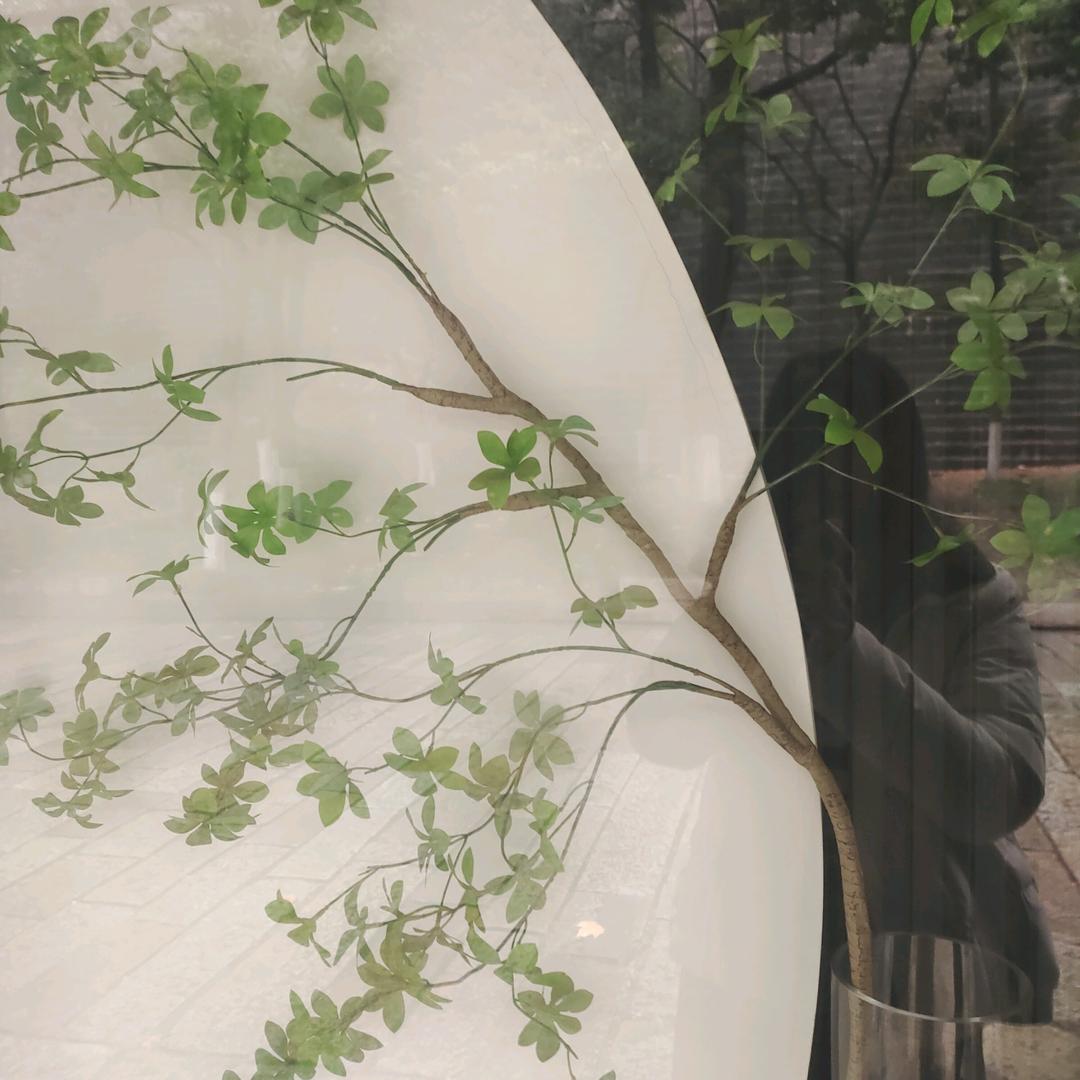 简爱