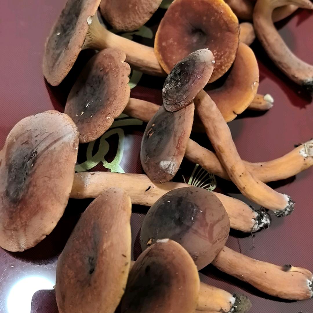 风轻云淡