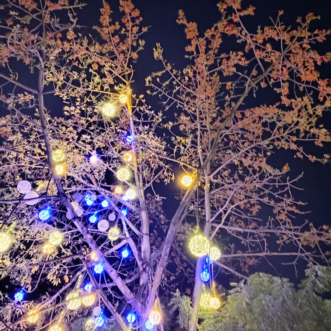 钢化玻璃