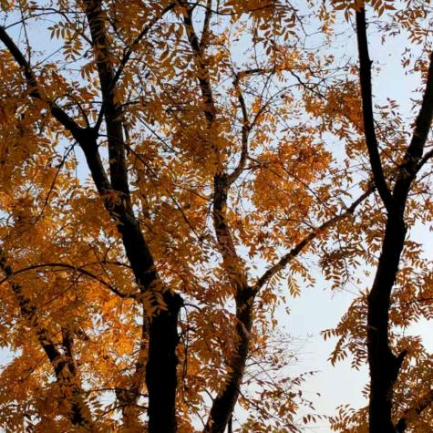 萍乡永佳奢品回收