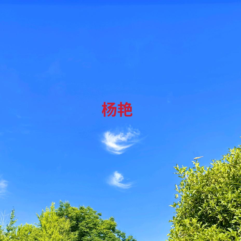 杨艳