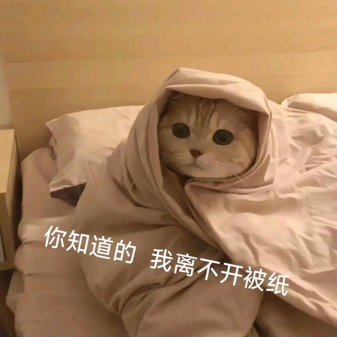 睡不够