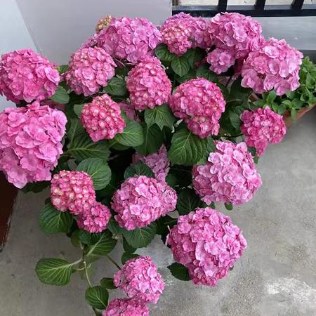 漫步云端