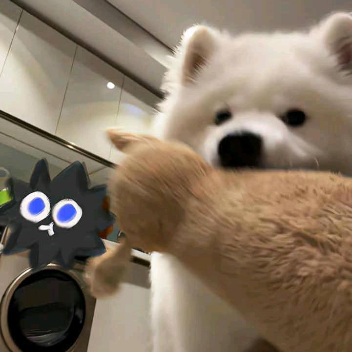 穆斯