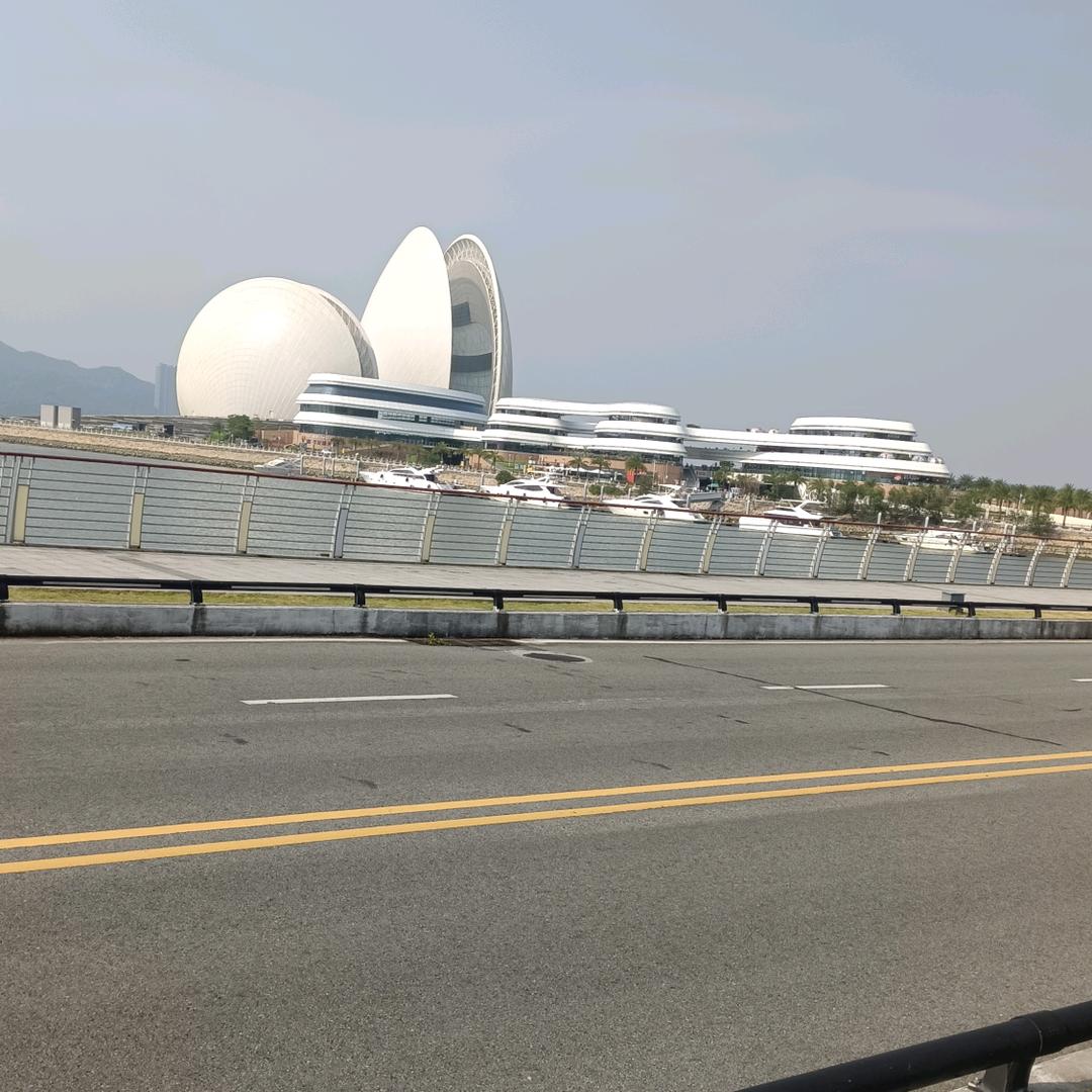 小橙子|yh