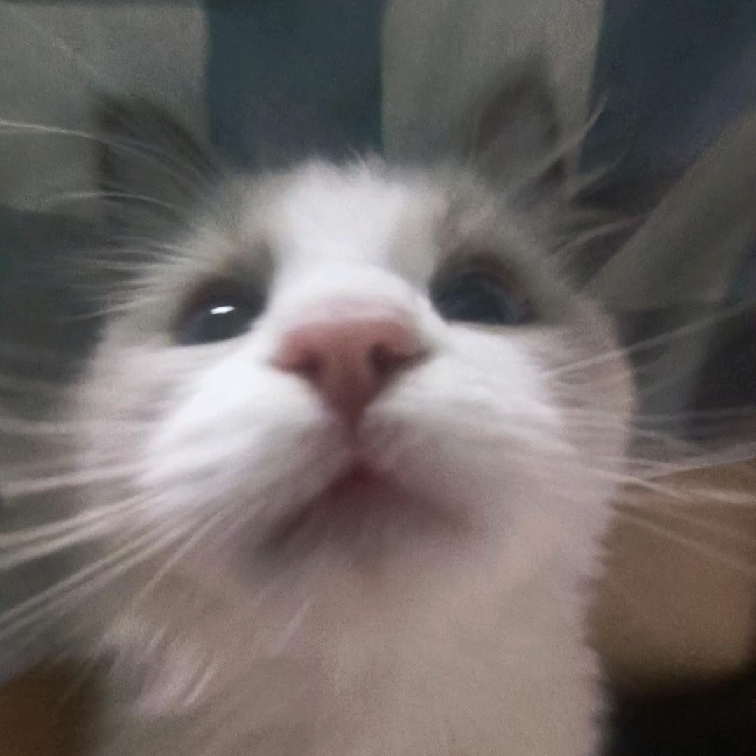 tttzzz