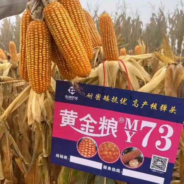 太平店镇刘全胜农资