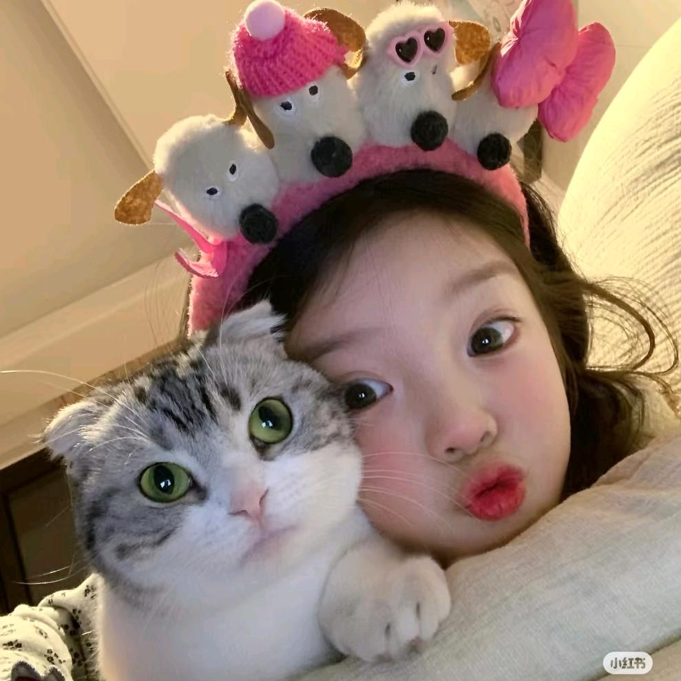 李亦菲