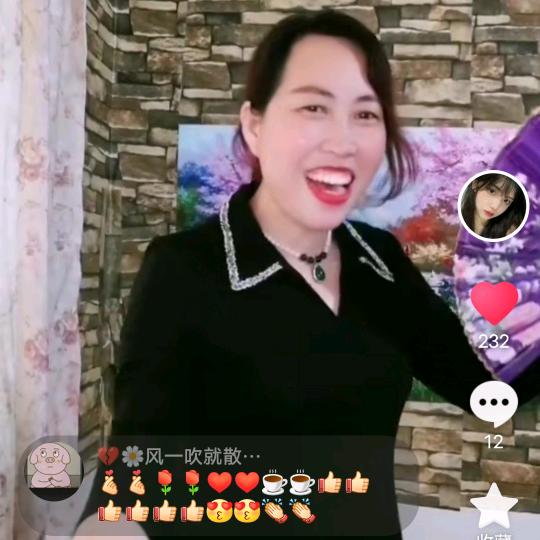 牡花窗帘布艺