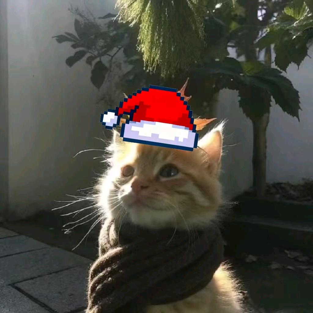 今天碰到想要集邮的老师了🐴！！