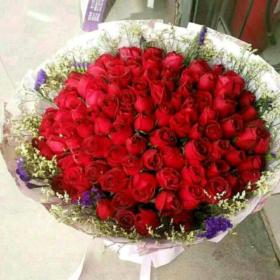 杨鹏飞文化才艺表演