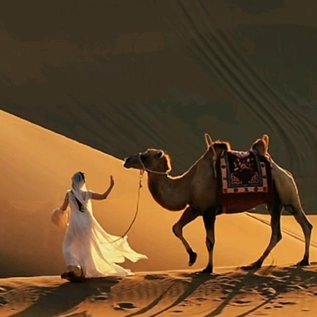 户外运动 戈壁沙漠